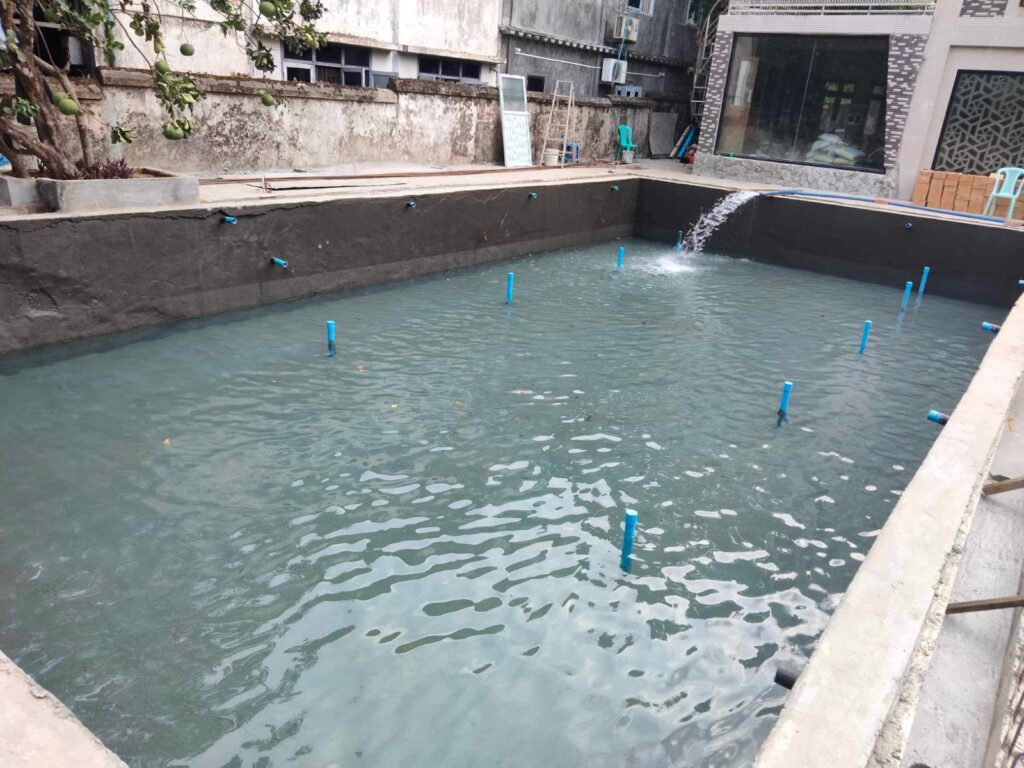 WhatsApp Image 2024-09-06 at 00.08.24